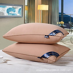 Mua COMBO 02 RUỘT GỐI HILTON CAO CẤP Kích thước: 45cm x 65cm