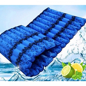Chiếu Nước Mát Mùa Hè, Chiếu Nước Lót Lưng Size Đơn, Đệm Nước Mát Cao Cấp - Tặng kèm 1 móc khóa Houston - Màu ngẫu nhiên