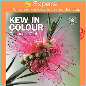 Sách - Royal Botanic Gardens Kew, Kew in Colour Square Wall Calendar 2024 by  (UK edition, paperback)