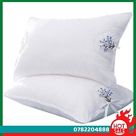 Mua Bộ Ruột Gối Thơm Hương Lavender - CH Hương Thị Miễn Phí Vận Chuyển