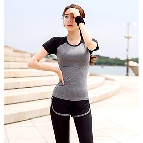 Sét Bộ đồ tập Áo thun + Quần thể dục, Gym, Yoga, Aerobic nữ cao cấp REAL-LION - RL05