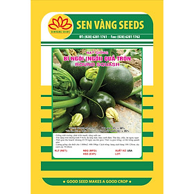 02 gói Hạt giống bí ngòi xanh Mỹ quả tròn giống ngắn ngày năng suất cao VTS88