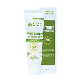 Kem Chống Nắng Bơ Nghệ Kiềm Dầu, Chống Thấm Nước, Nâng tông da SPF50+ PA+++ 30ml