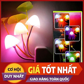  Đèn ngủ hình nấm Cảm Ứng Ánh Sáng Avatar