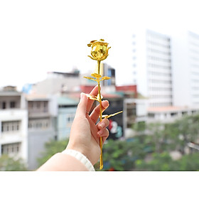 Quà tặng sinh nhật ý nghĩa: Bông hoa hồng mạ  vàng cao cấp cho nữ