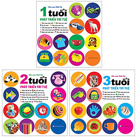 Combo 3 Cuốn: Bộ Phát Triển Trí Tuệ Cho Trẻ Từ: 0-1+ 2+ 3 Tuổi