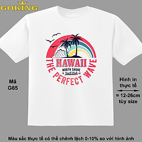 HAWAII, mã G65. Áo thun hàng hiệu GOKING siêu đẹp cho cả gia đình, công nghệ in Nhật Bản sắc nét 4K. Form unisex cho nam nữ, trẻ em, bé trai gái. Quà tặng ý nghĩa