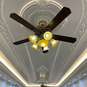 Mua Quạt trần đèn bầu mạ vàng cánh gỗ fip động cơ Dc cực khỏe quạt mát  êm  đèn sáng  quạt trần trang trí điều khiển từ xa 6 tốc độ gió quay tiến lùi làm mát hút ẩm  tạo điểm nhấn đắt giá cho mọi không gian nội thấ  1987