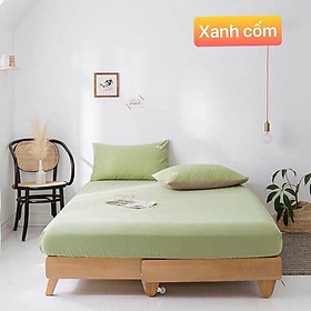 Bộ Ga Gối 4 Món Cotton Tici Basic Màu Trơn Đơn Giản