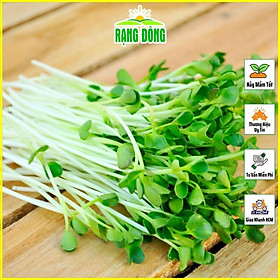 Hạt Giống Rau Mầm Rau Muống Dễ Trồng, Nhanh Thu Hoạch, Nhiều Chất Dinh Dưỡng (gói 100 gr) - Hạt giống Rạng Đông