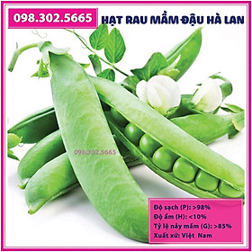 Bộ 2 gói Hạt rau mầm đậu hà lan - gói 90g - Trồng rau mầm sạch, rau mầm hữu cơ an toàn tại nhà