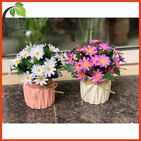 Mua Hoa giả  bình hoa mini để bàn  bình cúc hoạ mi cao 18cm để bàn  kệ tủ  giá sách  bàn trà