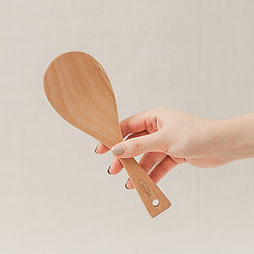 Mua Muôi xới cơm gỗ beech (20cm)