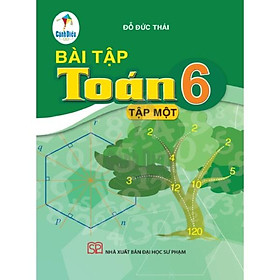 Bài Tập Toán lớp 6 tập 1 - Bộ Cánh Diều