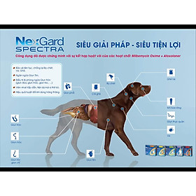 1 viên NexGard Spectra trị giun, ghẻ, viêm da, ve rận (chó 2 - 3,5kg)