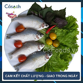 Cá mè vinh làm sạch - CKFoods - 300 g