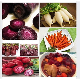Mua Combo 4 gói hạt giống rau lấy củ dễ trồng