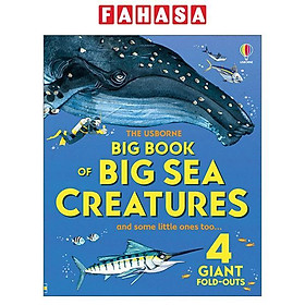 Sách ngoại văn: Big Book Of Big Sea Creatures - Hard Back