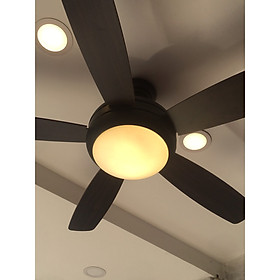 Mua Quạt trần đèn KSP 52611B - Có điều khiển - Cánh dài 1m32
