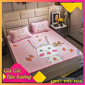 Mua Chiếu điều hòa cao su non kết hợp với lụa tencel latex- họa tiết trơn và họa tiết 5D