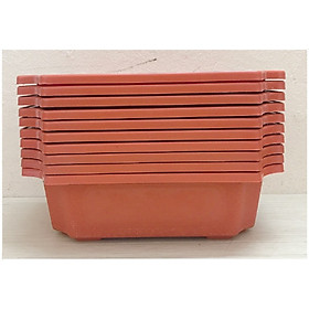 10 Ang Chữ Nhật Trồng Hoa Cây Cảnh 240x170x70mm