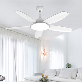 Quạt trần đèn KNQ018