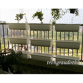 Mua Combo 3 bộ giá kệ móc treo trồng cây ban công kèm chậu thông minh 67x24 cao 20cm