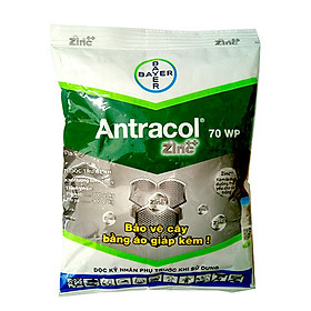 THUỐC TRỪ NẤM BỆNH CÂY TRỒNG ANTRACOL - 100 GRAM - DIÊT MẦM NẤM BỆNH NHƯ THÁN THƯ, ĐỐM LÁ, BỆNH Ở RỄ