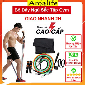 Bộ 5 Dây Ngũ Sắc Đàn Hồi Tập Gym, Tập Thể Hình Amalife - Bản Cao Cấp - Chính Hãng