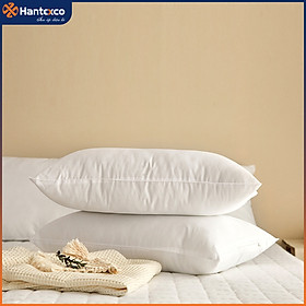 Mua Ruột gối nằm Standard Hantexco (bông BallFiber   45*65  50*70  60*80