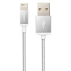 Cáp Pisen Double sided Lightning 1 m AL06-1000 (JC.036)