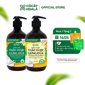 Bộ dầu gội thảo dược gừng dừa Cocayhoala hỗ trợ trị gàu, giảm nấm ngứa, dung tích 440g/chai- 95% thành phần từ gừng tươi hữu cơ còn nguyên xơ gừng, hỗ trợ trị rụng tóc, kích thích mọc tóc vượt trội