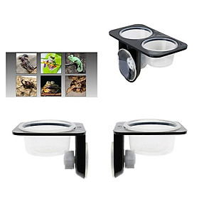 3Pcs Dual + Single Reptile Feeding Basin Bowl with Suction Cup for Worm