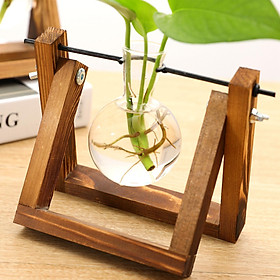 Plant Terrarium with Wooden Stand, Air Planter Bulb Glass Vase ,Metal Swivel Holder, Retro Tabletop for Hydroponics Home Garden Office Decoration