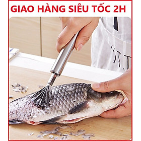 Hình ảnh Dụng cụ đánh vảy cá, nạo dừa cao cấp