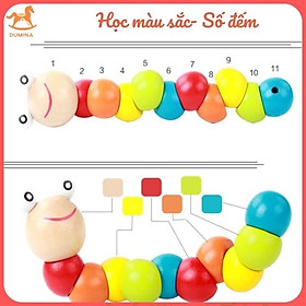 Đồ chơi con sâu gỗ nhiều màu sắc uốn dẻo cho bé học số đếm và học màu sắc