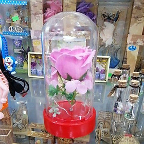 Hộp hoa hồng shap. Có đèn. Quà tặng. Trang trí. Handmade