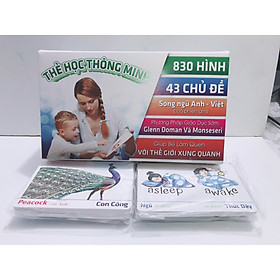 Thẻ Học Thông Minh 43 Chủ Đề 830 Hình 415 thẻ Flashcard Song Ngữ Anh-Việt có phiên âm.