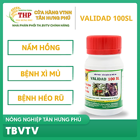 Thuốc Trừ Bệnh Validad 100SL | Chai 100ml