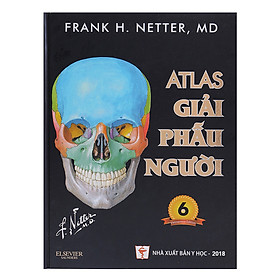 [Download Sách] Atlas Giải Phẫu Người 2018 