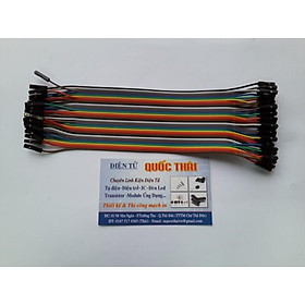 Mua dây cắm test board 2 đầu cái cái (20cm)