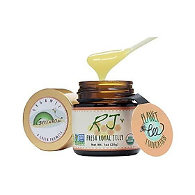 GREENBOW Organic Fresh Royal Jelly - 100% USDA Certified Organic, Pure, Gluten Free, Non-GMO Royal Jelly - One of The Most Nutrition Packed Diet Supplements - Highest Quality Royal Jelly - (28g)