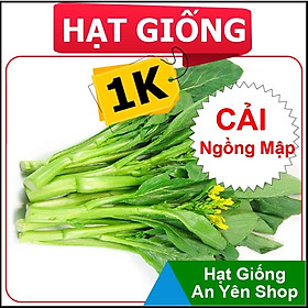 Hạt Giống 1K trồng thử cho các loại Rau Củ Quả