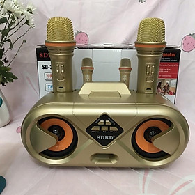 Mua Loa hát kèm míc Sd 303