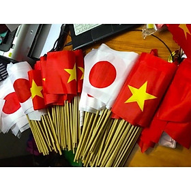 Mua Cờ vẫy cầm tay