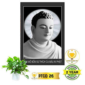Mua Tranh điện Phật Thích Ca_ PTC4