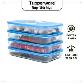 Mua Bộ Hộp Trữ Đông Happy Set 550ml (4 Hộp) - Tupperware