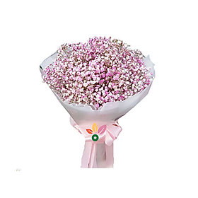 Mua Hoa Sinh Nhật Baby – 1107