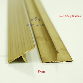 Mua Nẹp Đồng T25 gân đủ màu  Nẹp đồng chữ T  Nẹp đồng chống trơn  giá