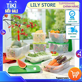 Mua Bộ hộp trữ mát có nút hô hấp Ventsmart 7 hộp